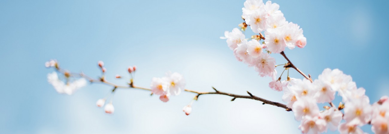 Örnek Yazı Örnek Yazı